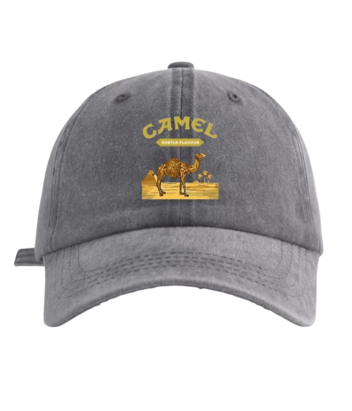 Gray Camel Desert washed cotton cap, front view
